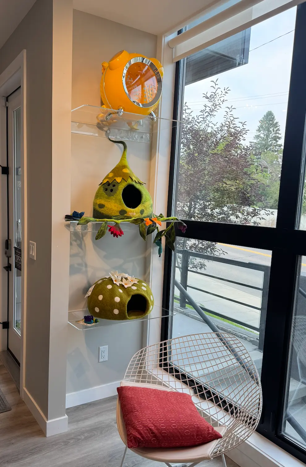 Felt cat beds displayed beside a window in the Whiskers & Whimsy Calgary studio