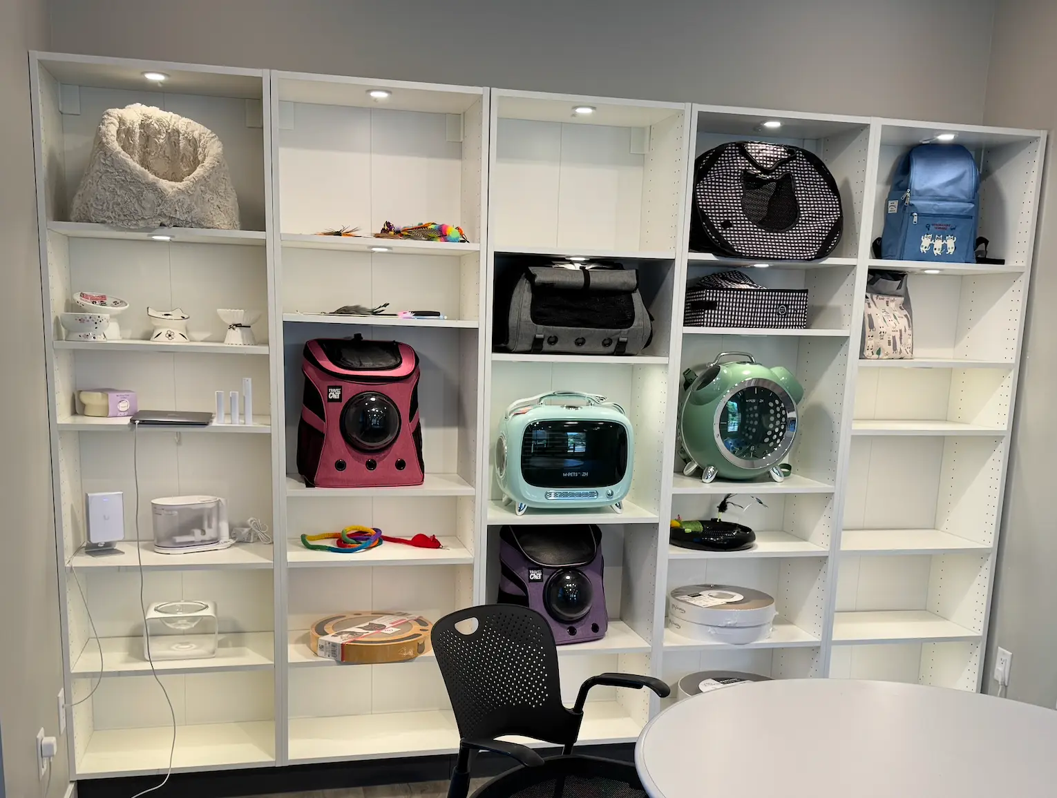 Shelves of cat toys, accessories and Whimsy gifts inside the Calgary studio